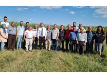 Ayçiçeği üretiminde rekor üretim bekleniyor