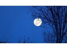 Çorum’da dolunay şöleni