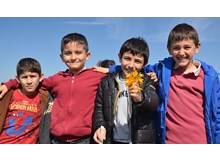 Çiğdem geleneği sürüyor