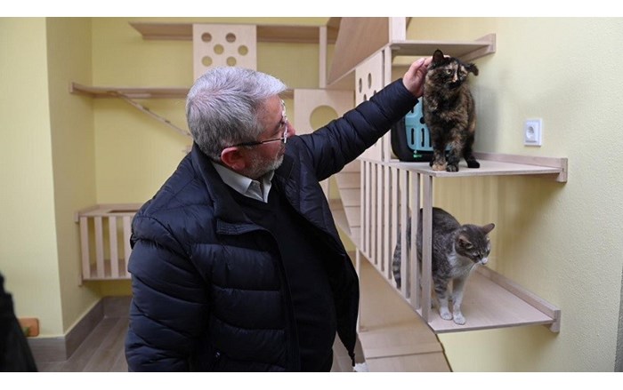 kedi evi (1)