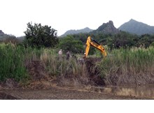 Çeltik tarlaları haşat oldu